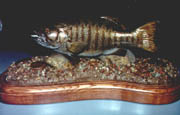 Smallmouth Bass