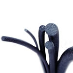 Foam Neck Material