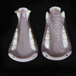 8112 - Black Bear Medium Jawset with Tongue