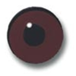 Standard Dark Brown