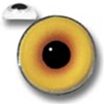 Aura Blend Pheasant Eyes