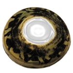 Walleye (Clear Pupil) Traditioonal Series