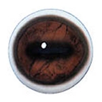 White Banded Eyes