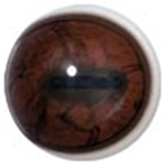 White Banded Eyes