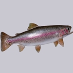 Dan Rinehart Fish Painting Schedules
