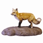 Mammal (L) 18