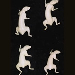 Running Up