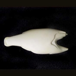 Largemouth Bass S-Curve