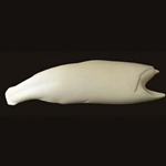 Steelhead S-Curve