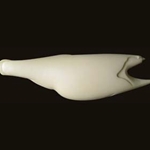 Striper S-Curve