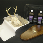 European Skull Mount Kit