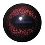 Blue Glint Eyes (Click Here)