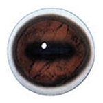 Blue Glint Eyes (Click Here)