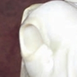 WTW 402