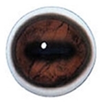 WHITE BANDED EYES