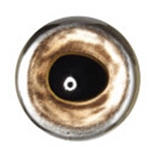 ALL PURPOSE(TROUT, REDFISH, BRK TRT,