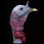 Turkey Heads