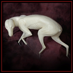 Coyote-Master's Choice