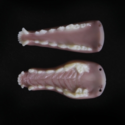 8116 - Gray Fox Jawset withTongue