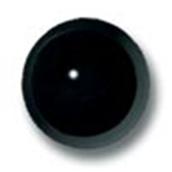 Standard Black