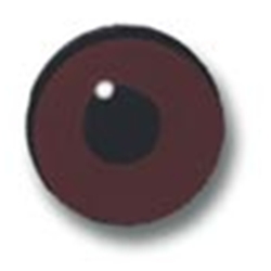Standard Dark Brown