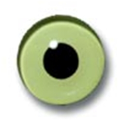 Standard Green