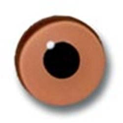 Standard Light Brown