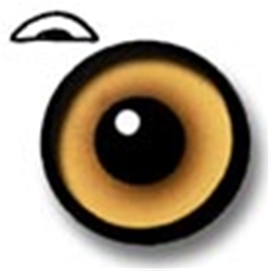 Aura Blend Pheasant Eyes WITH Limbus Band