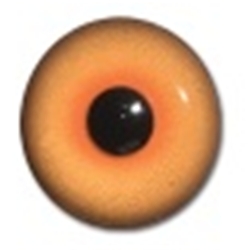 Competition Pheasant Eyes - Light Coloration