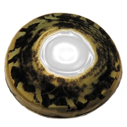 Walleye (Clear Pupil) Traditioonal Series