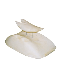 Fish Mounting Station