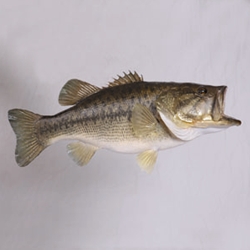 Dan Rinehart Fish Painting Schedules