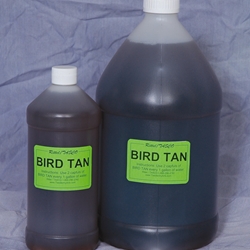 Bird Tan