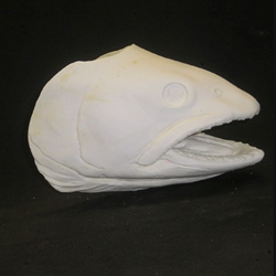 Lake Trout