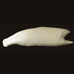 Steelhead S-Curve