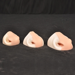 WHITETAIL NOSES W/SEPTUM