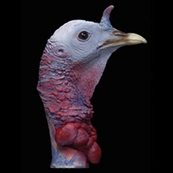 Turkey Heads