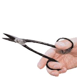Curved Scissors