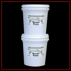Apoxie Paste