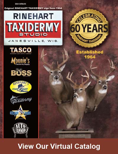 Taxidermy Catalog Cover