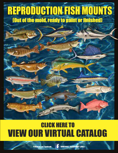Fish Taxidermy Catalog Cover