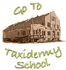 Learn Taxidermy Online