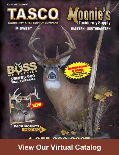 Taxidermy Catalog Cover
